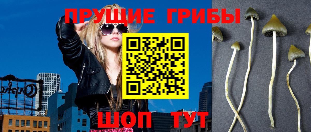 Галлюциногенные грибы MAGIC MUSHROOMS Междуреченск