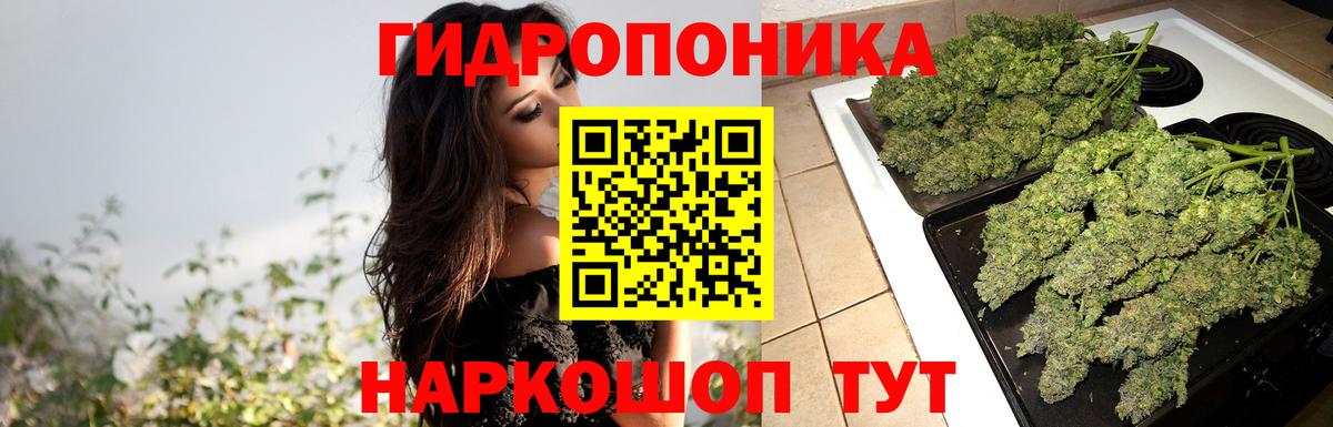 Шишки марихуана AK-47  Бошки Шишки индика  Марихуана семена  Междуреченск  Вход с VPN 
